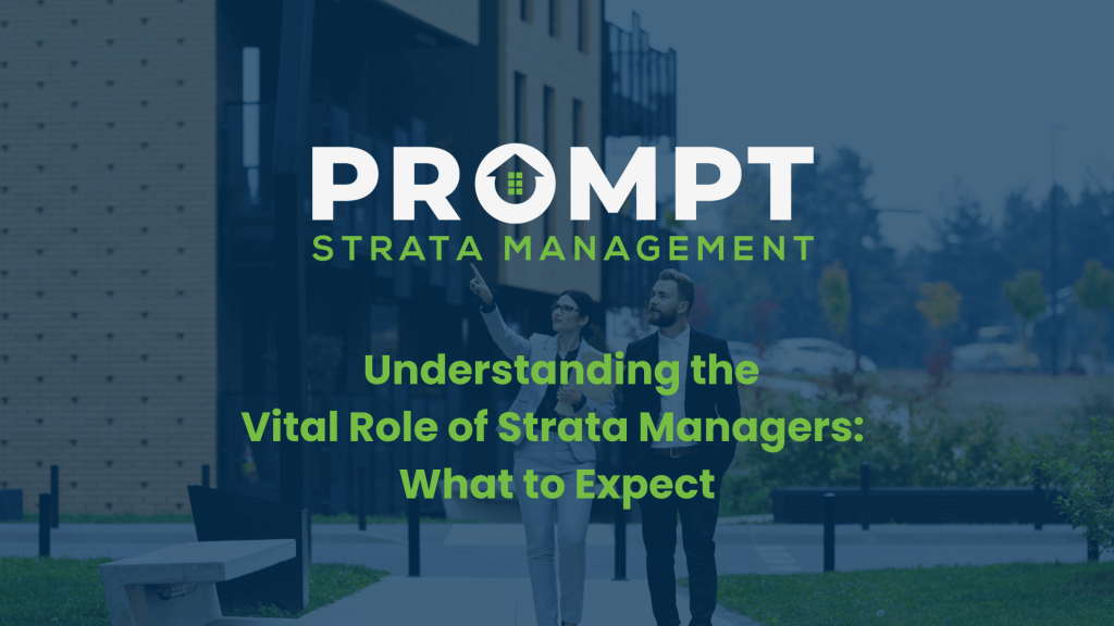 Blog thumbnail for Understanding the Vital Role Strata Managers What to Expect